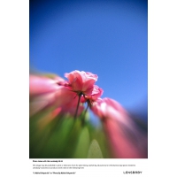 Lensbaby LM-10